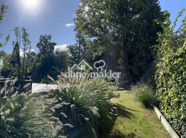 Blick ins Grüne