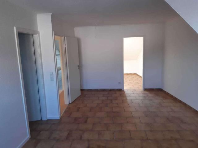 Zimmer DG