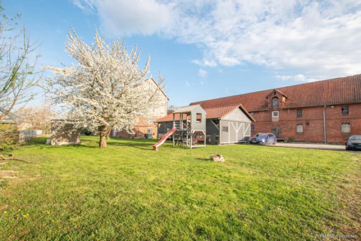 Außenansicht Garten 9