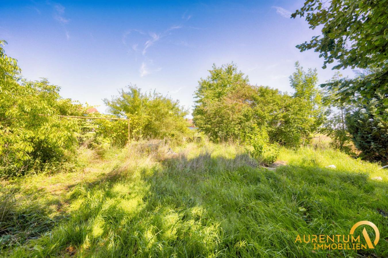 Grundstück Mintraching