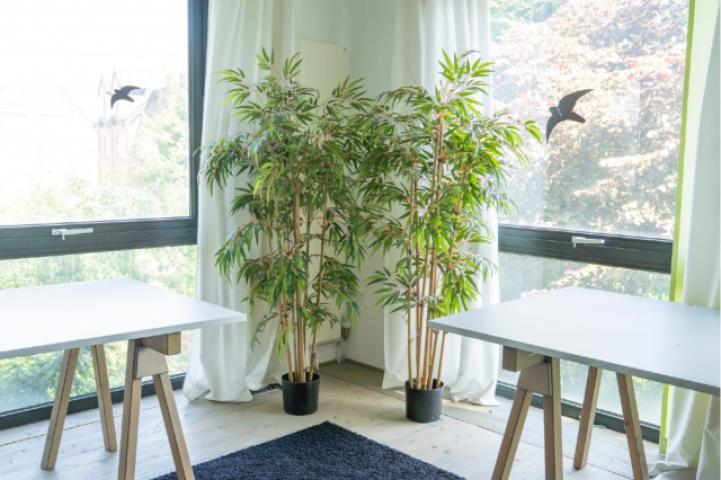 Daberkow Immobilien - Innenansicht Anbau