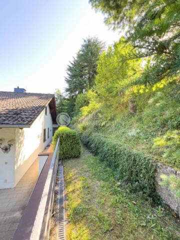 Hinter dem Haus
