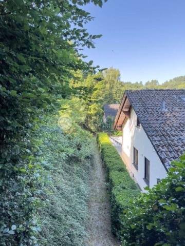 Haus von Hinten