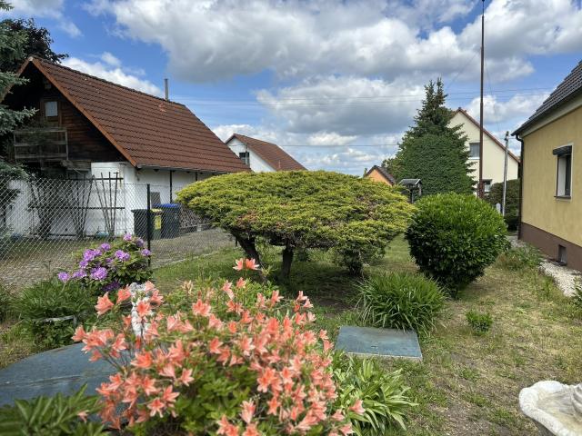 Vorgarten