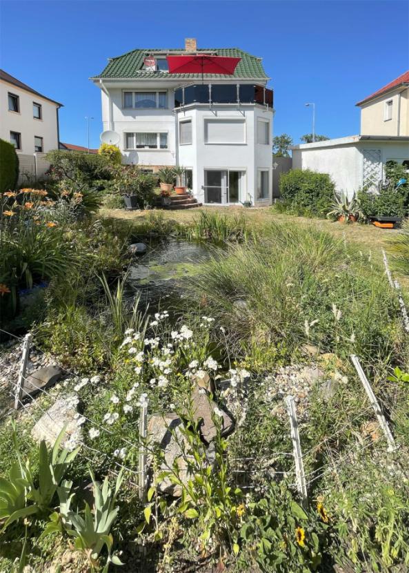 Südseite-mit-Gartenteich