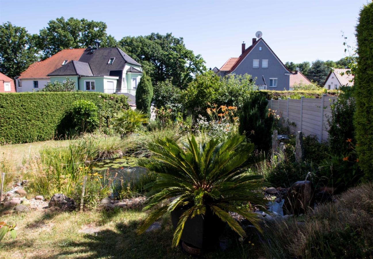 Südlicher-Garten-mit-Teich