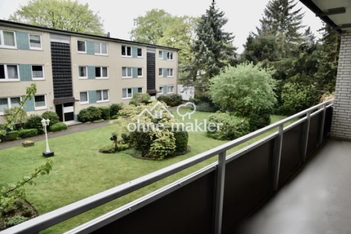 Blick  in den Garten