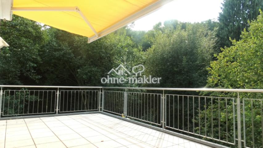 Parkblick von Dachterrasse