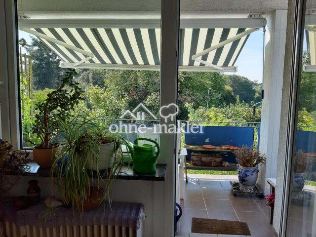 Blick vom Wohnzimmer zum Garte