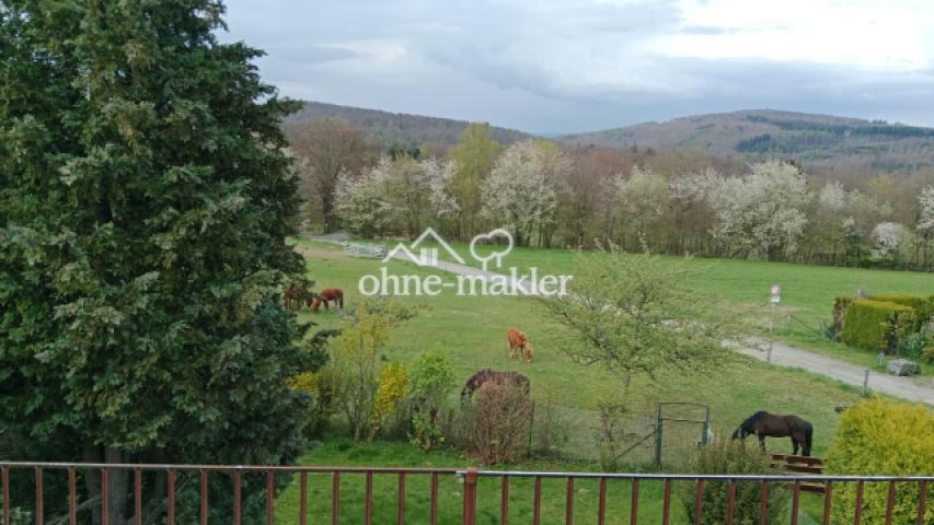 Fernblick