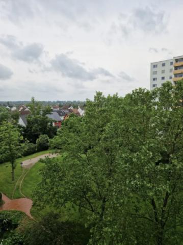 Blick / Weitblick