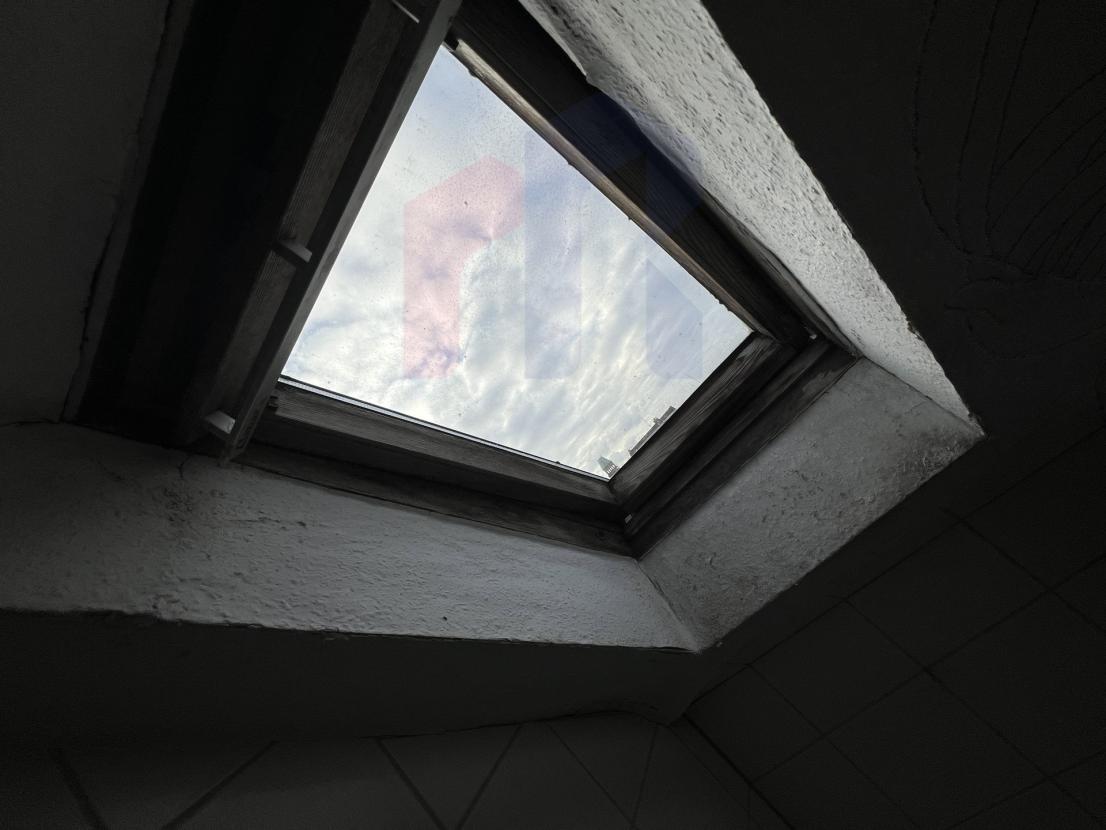 20241203_094406191_iOS