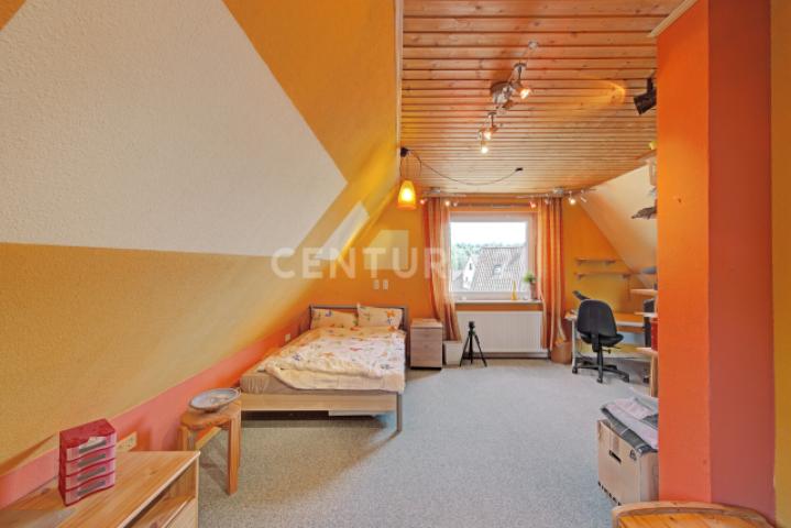 DG Studio