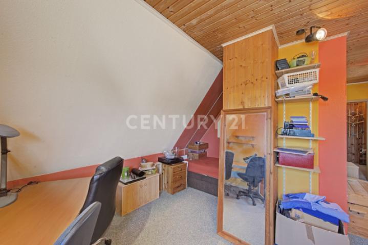 DG Studio