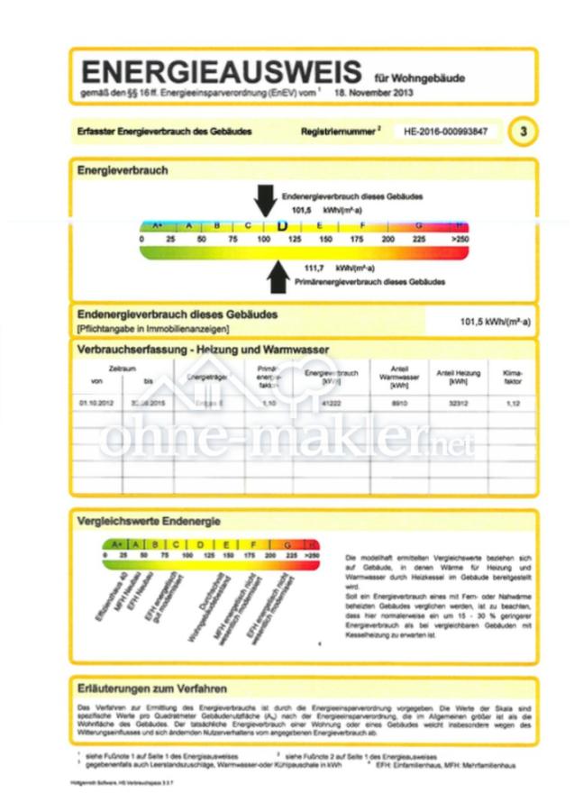 Auszug Energieausweis