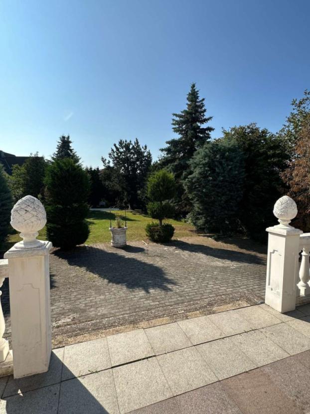 WRS Immobilien - Blick in den Garten