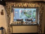 10 EG Esszimmer Gartenblick