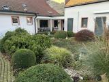 20 Garten II