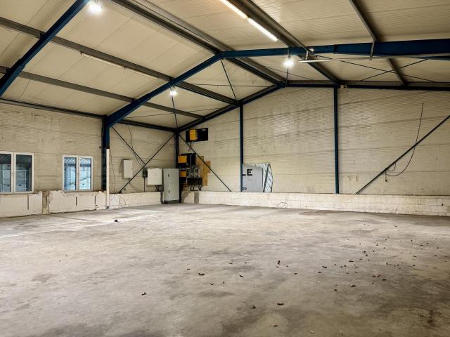 *Halle Innen