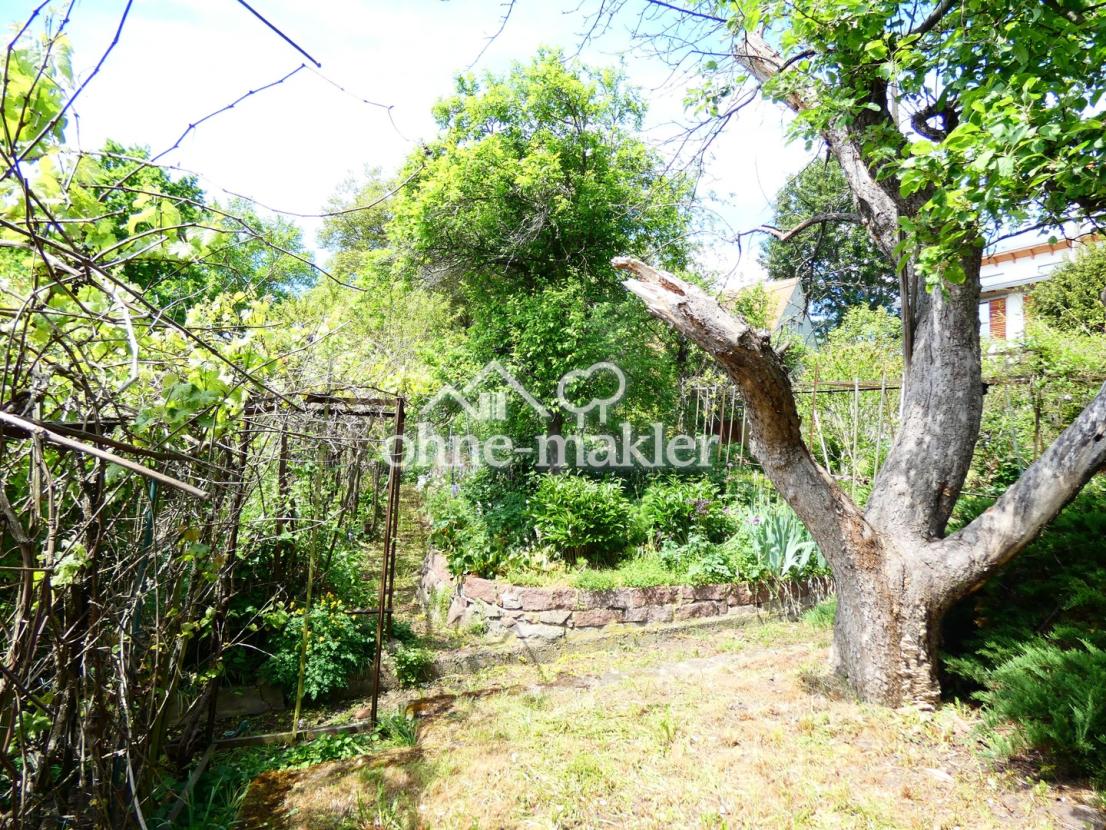 Gartenansicht /Bauplatz