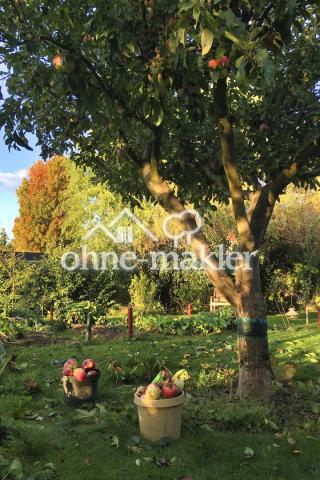 Apfelbaum und anderes Obst