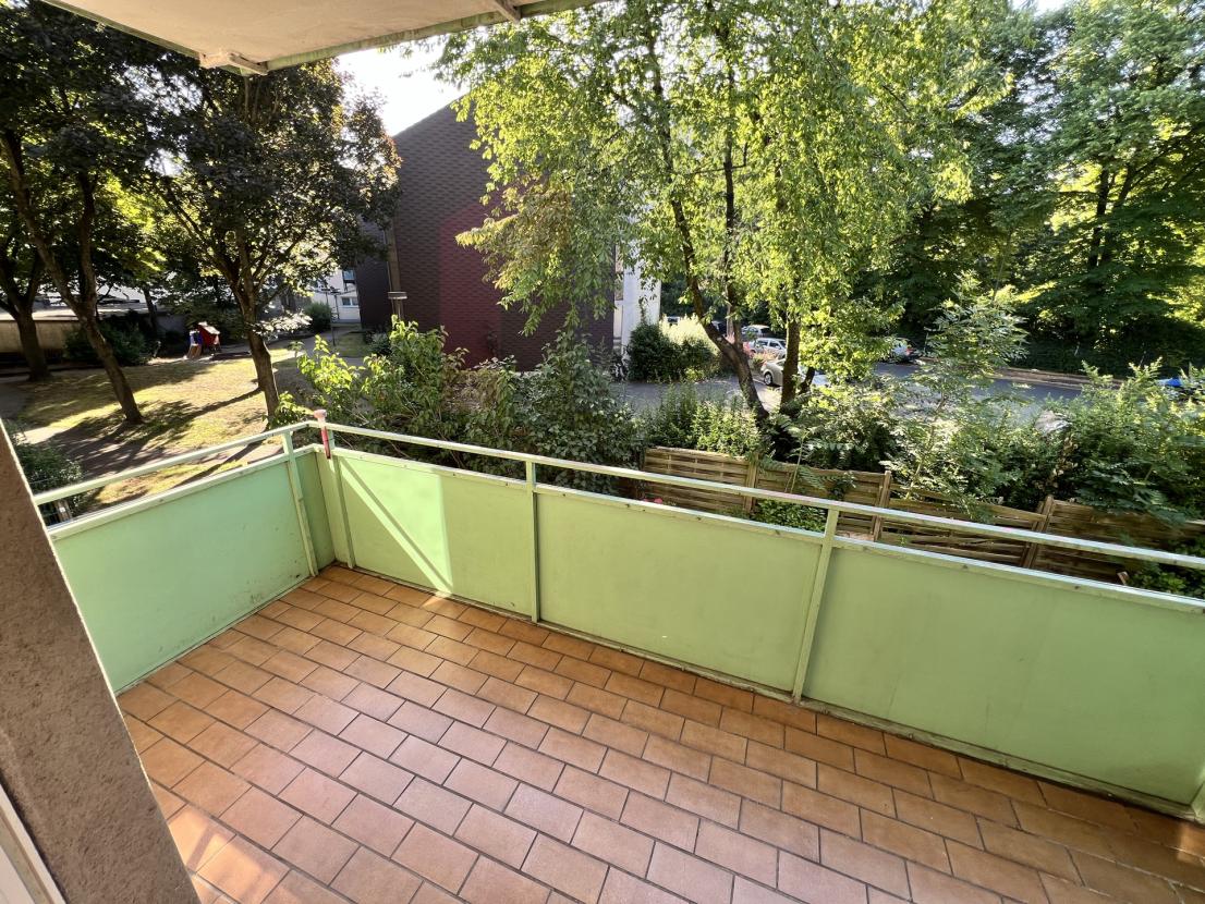 8c68cffe-338a-46f5-9da5-f5b3ab5eaae5_original