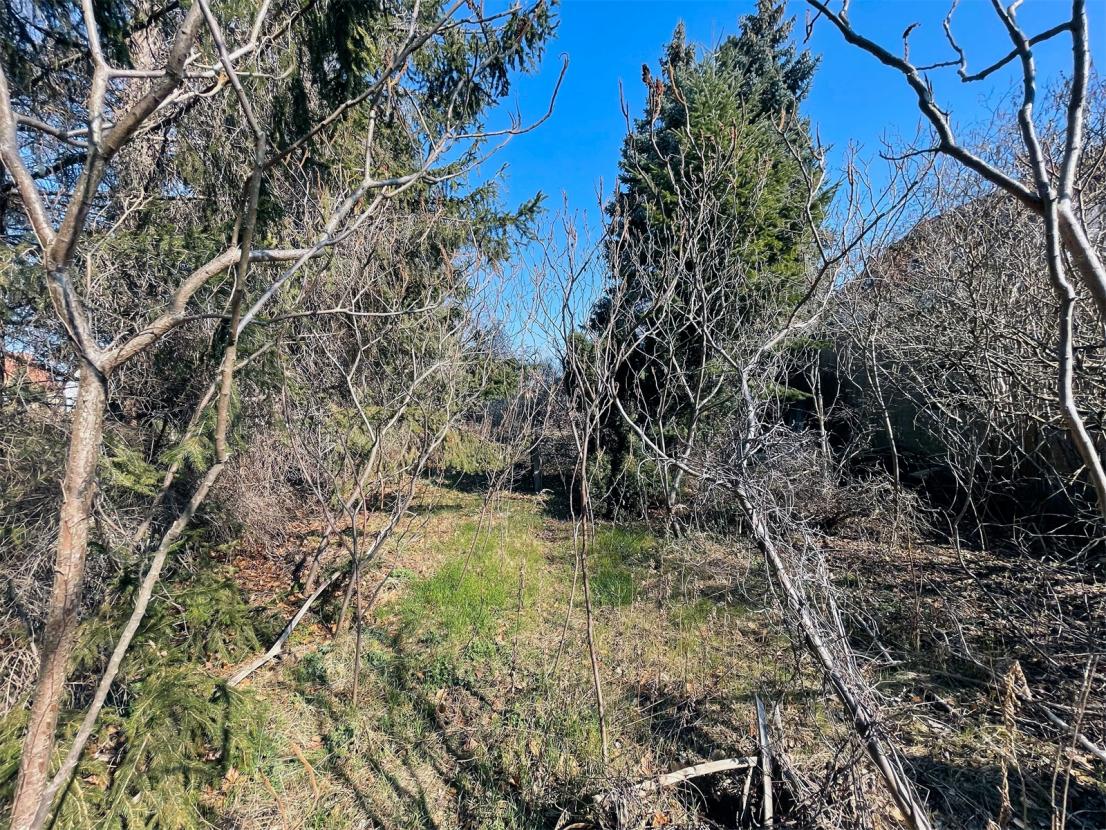 Hinterer-Gartenbereich