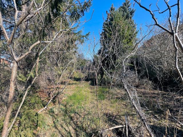 Hinterer-Gartenbereich