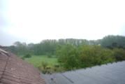 Blick von den Scheunendächern auf den Wald