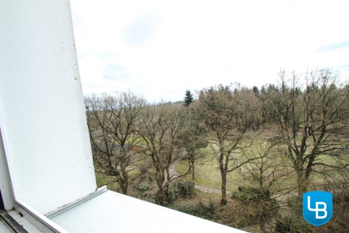 Blick aus dem Wohnzimmer