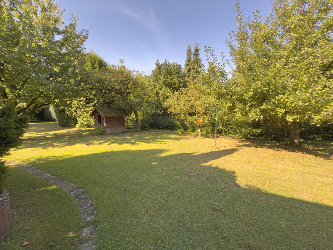 Garten mit altem Obstbaumbestand