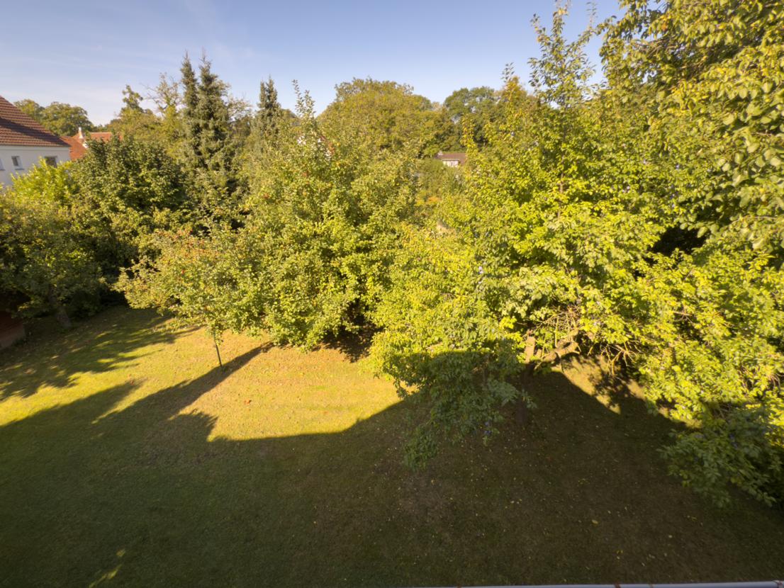 Garten mit altem Obstbaumbestand