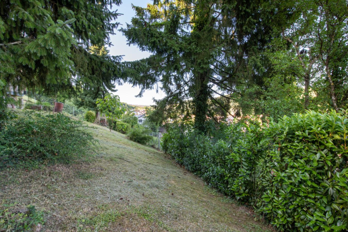 Weiterer Aussenbereich Hecke Zaun komplett geschlossen