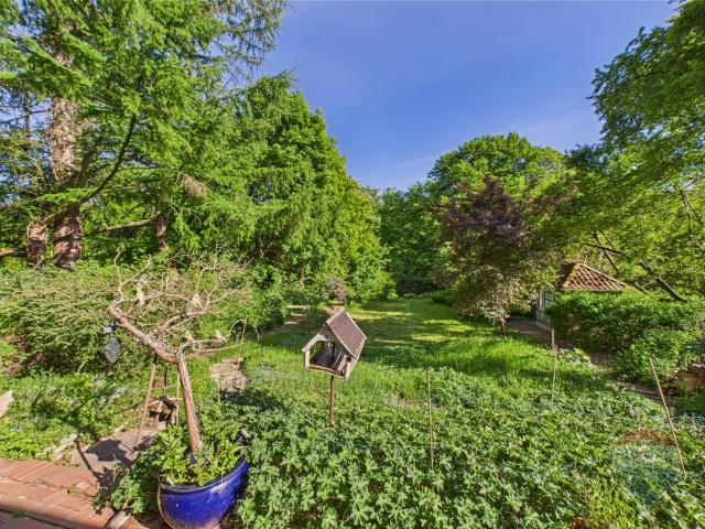 Ausblick von der Terrasse auf den Garten