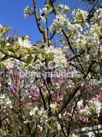 Gartenimpressionen