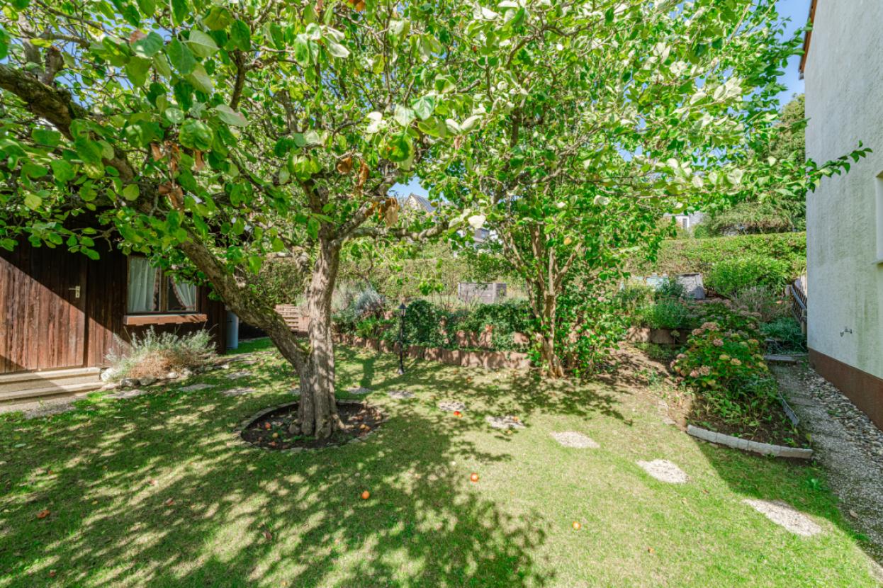 Weitere Ansicht Garten