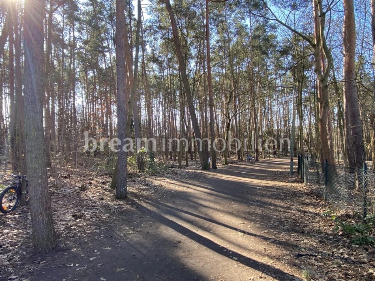 anliegendes Wäldchen 