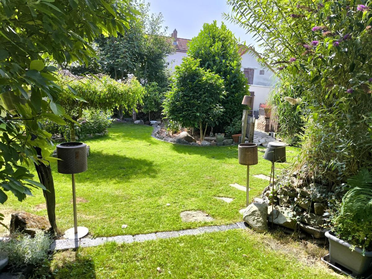 Garten mit Rückseite Anbau