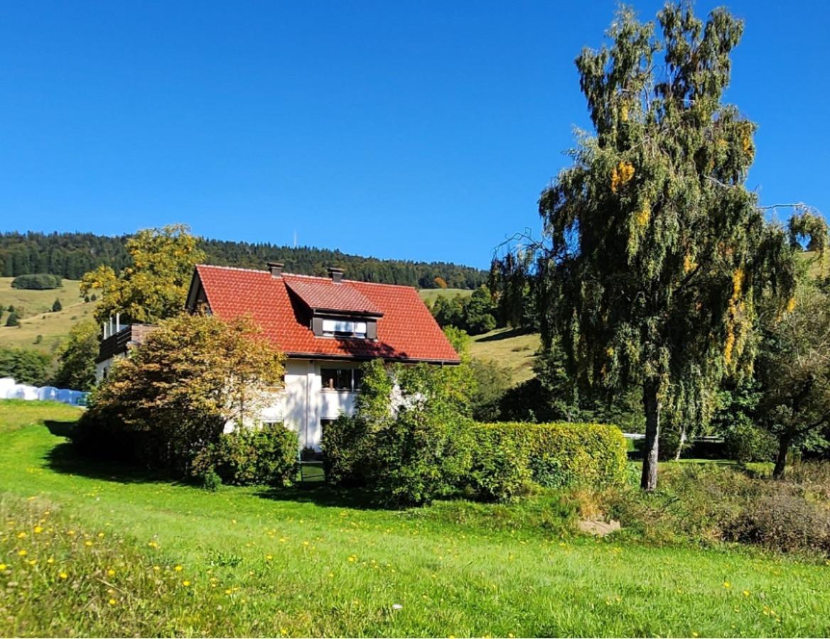 07 Südansicht Bild 2