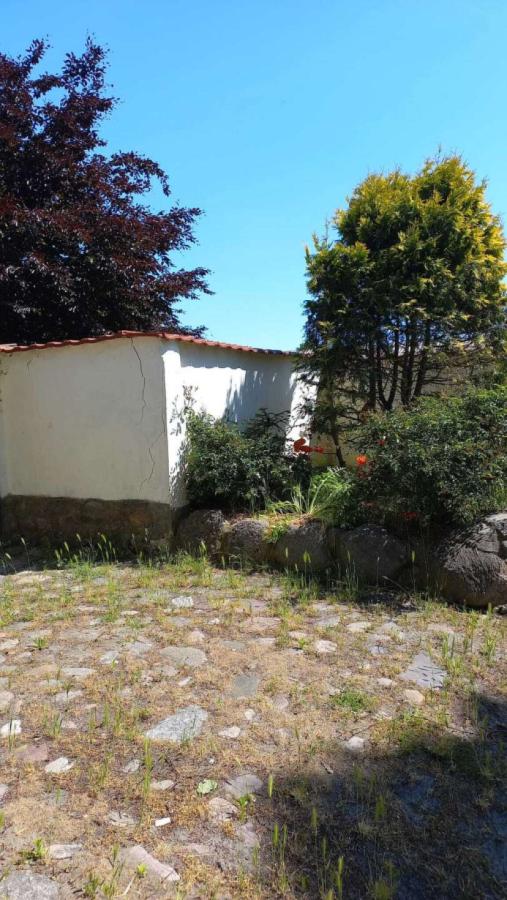 8163248b-1909-4b01-9325-bc9f3360f8fc