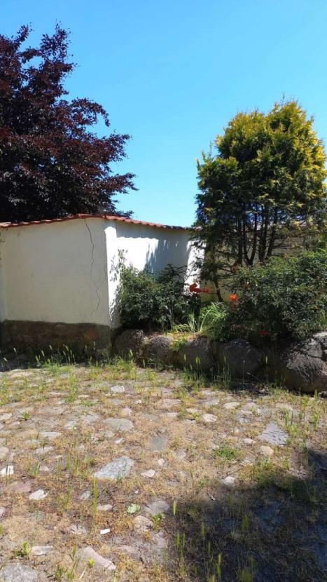 8163248b-1909-4b01-9325-bc9f3360f8fc