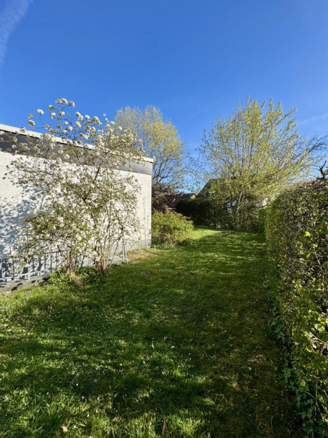 Einblicke in den Garten