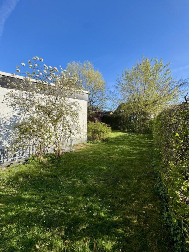 Einblicke in den Garten