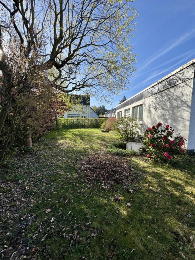 Einblicke in den Garten