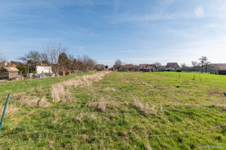 Baugrundstück Bodenansicht Feldseite 2