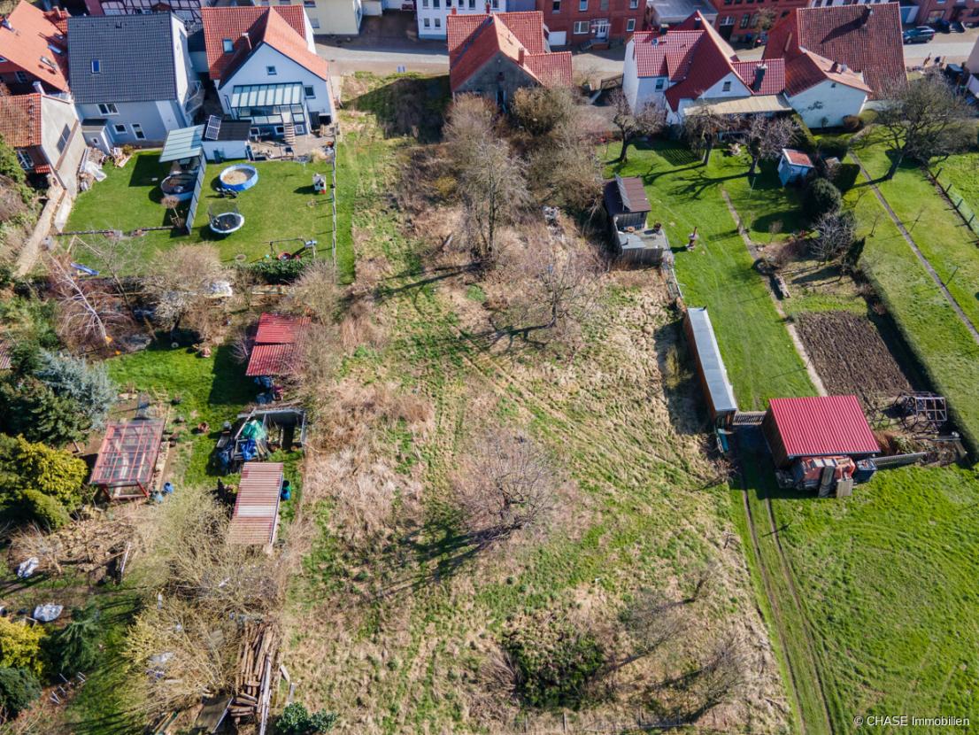 Hinterer Teil Baugrundstück mit Wildwuchs