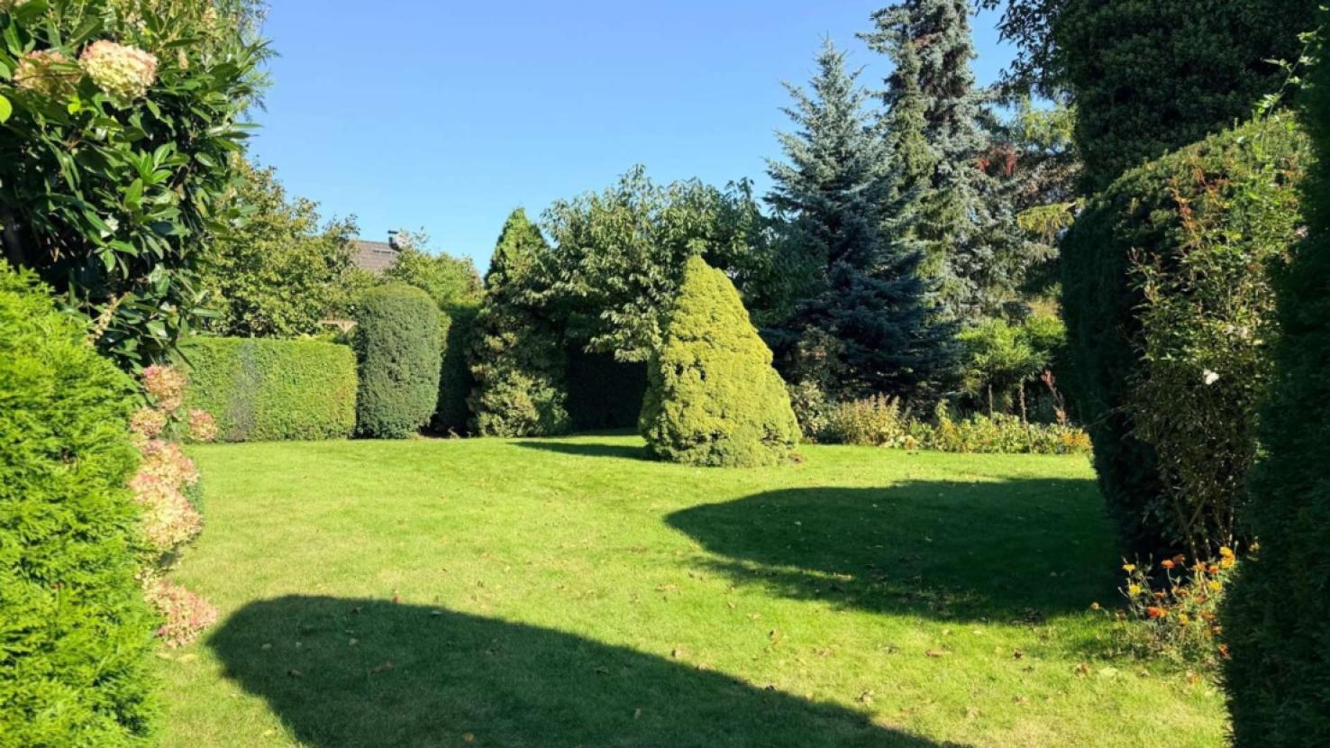 Viel mehr Grün geht nicht!