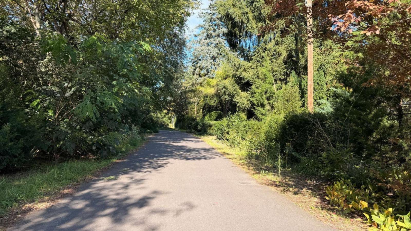 Anliegerstraße vor dem Grundstück im Nordblick...