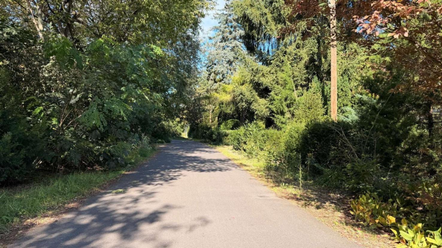 Anliegerstraße vor dem Grundstück im Nordblick...