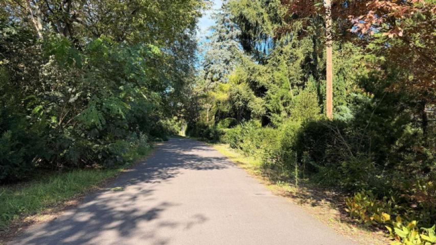 Anliegerstraße vor dem Grundstück im Nordblick...